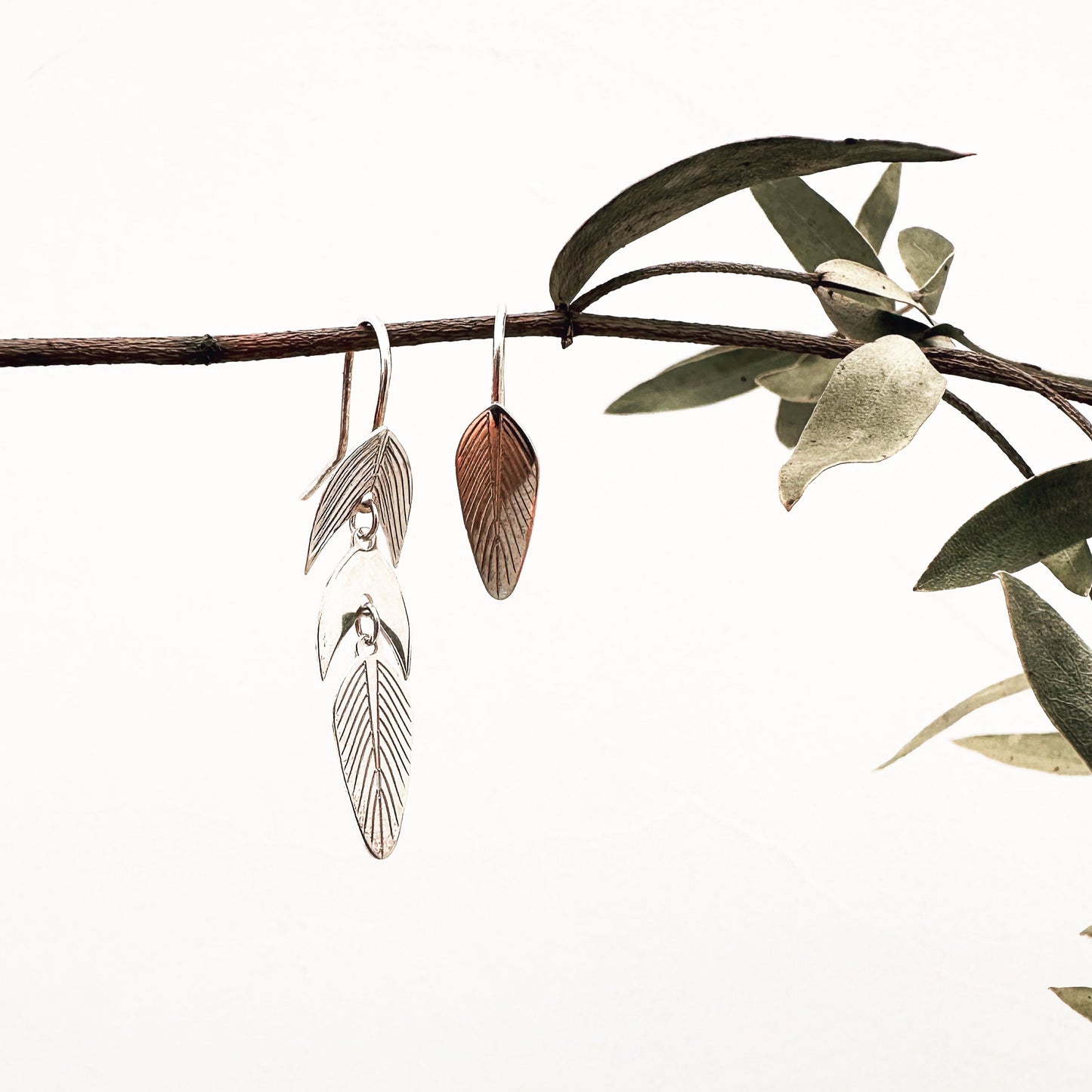 Aretes Hojas Calathea Plata