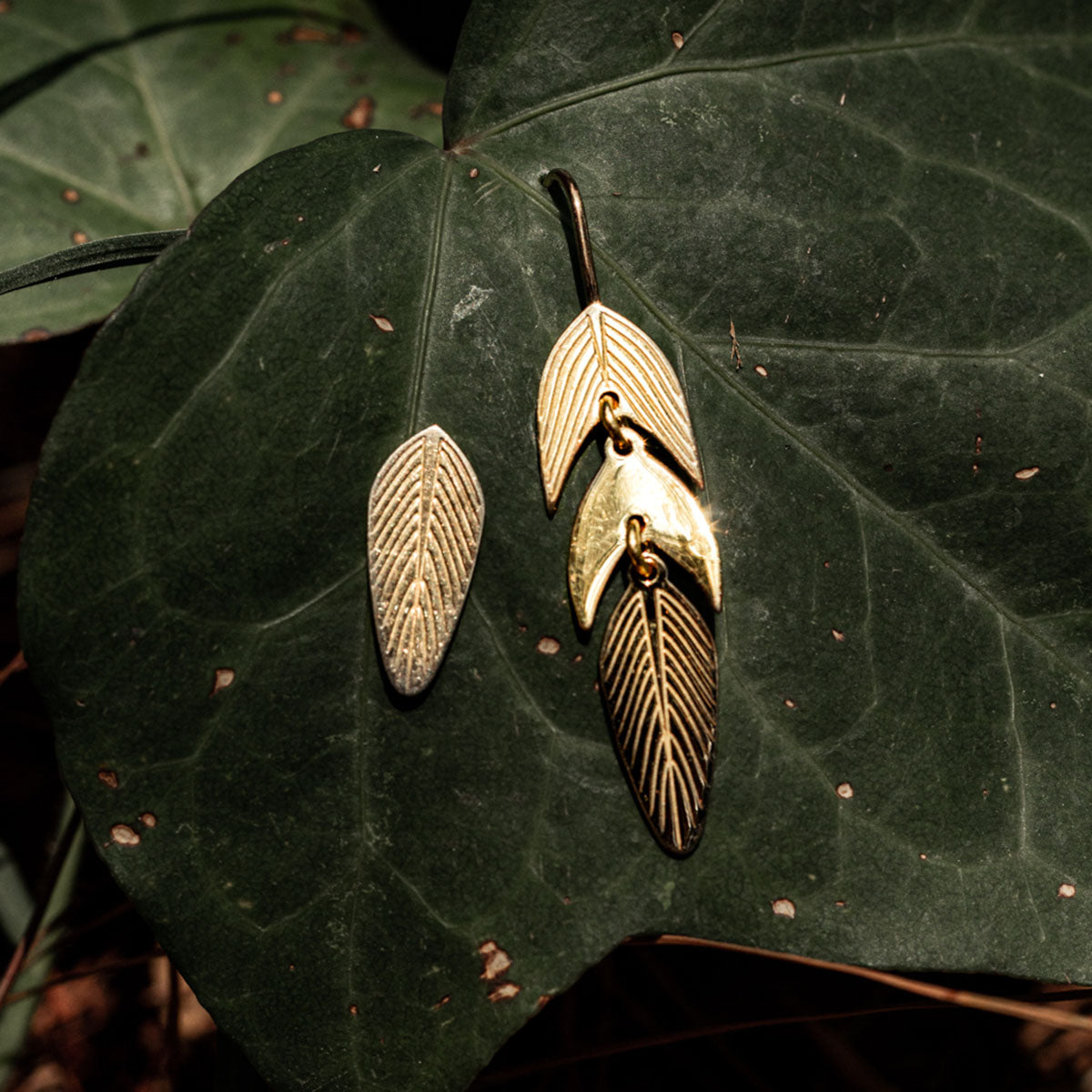 Aretes Hojas Calathea